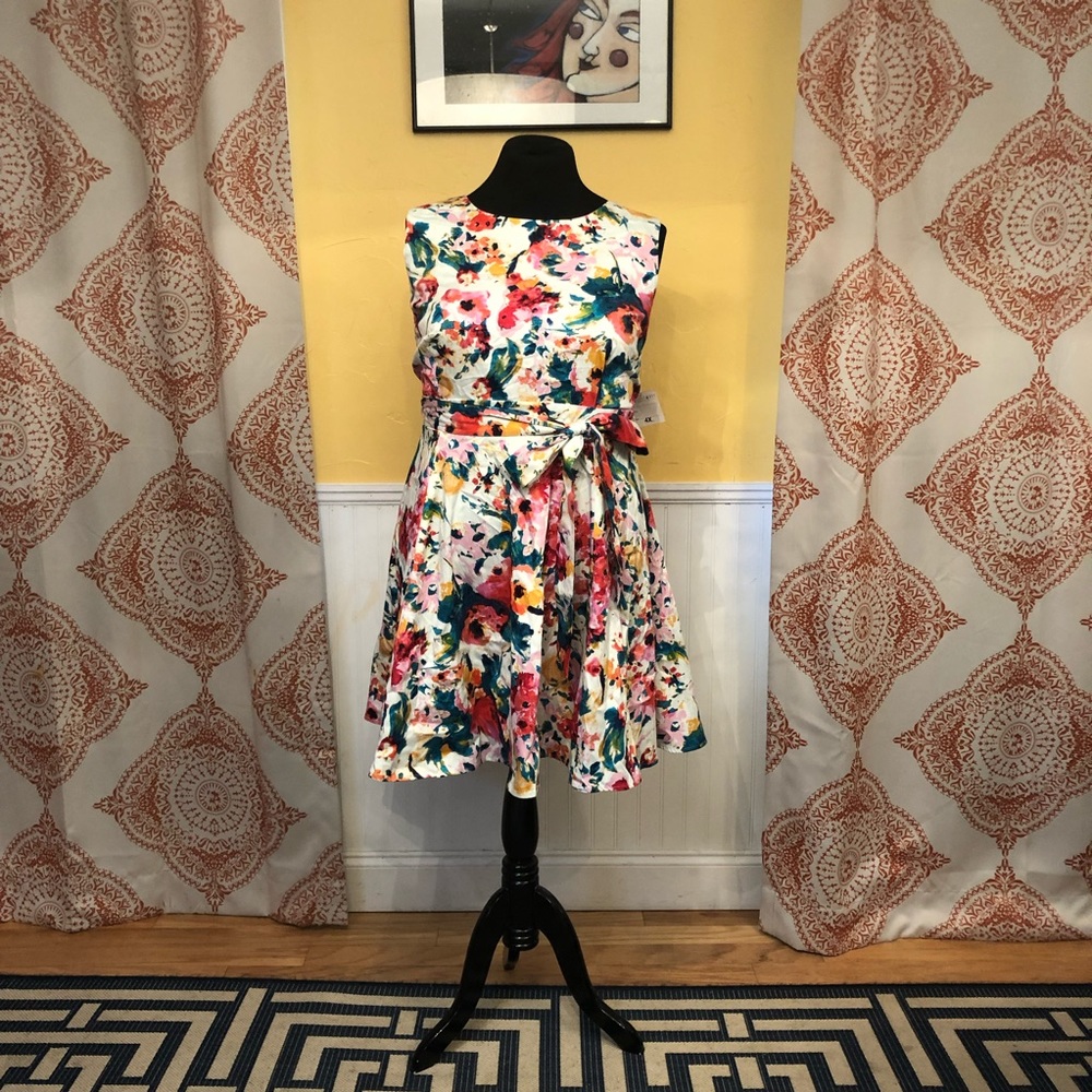 IXIA Fit & Flare Floral, Plus Size Dress